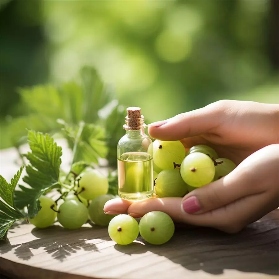 Esenciální olej - Amla - 10 ml | Lázeňská káva